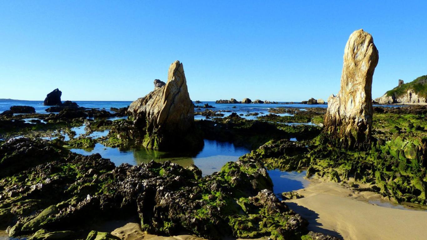 Coastal Comfort Motel Narooma Zewnętrze zdjęcie